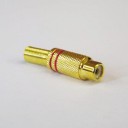 RCA LINE SOCKET GOLD RED