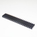 20 WAY PCB SIL SOCKET