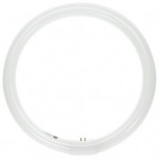 CIRCLINE 20 W ROUND TUBE